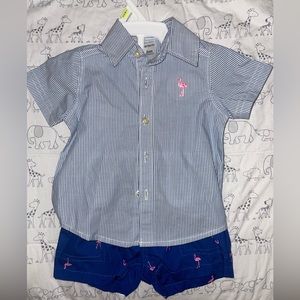 Carters baby boy flamingo set